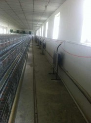 草莓视频下载安装污安装现场