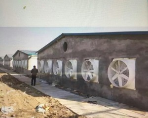 草莓视频下载安装污安装现场
